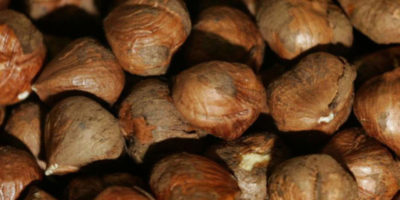 Da dove vengono le nocciole della Nutella