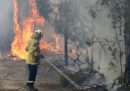 In Australia, 24 persone – e non 183 – sono state accusate di aver deliberatamente appiccato incendi nelle ultime settimane