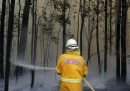 La verità sugli incendi in Australia