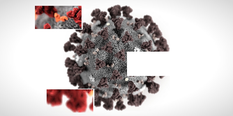 Il nuovo coronavirus (2019-nCoV) in un'elaborazione al computer (CDC)