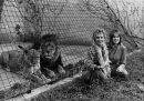 Tippi Hedren e Melanie Griffith