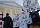 L'enorme marcia per le armi in Virginia