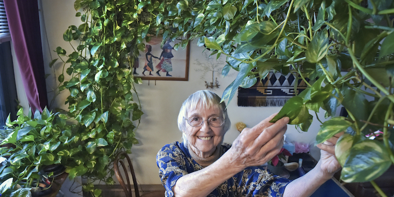 Un potos lungo quattro metri e mezzo e la sua proprietaria Gabrellen "Gabby" Pfarr, l'8 gennaio 2019; all'epoca Pfarr, malata di cancro, stava cercando qualcuno che adottasse la pianta dopo la sua morte – l'ha poi trovato (Dan Marschka/LNP/LancasterOnline via AP)