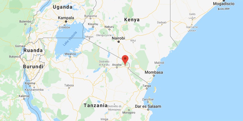 Almeno 20 persone sono morte nella ressa in uno stadio della Tanzania, durante una cerimonia religiosa