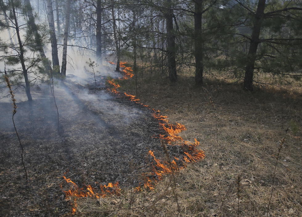 Un incendio a Ragovka, vicino a Chernobyl, 10 aprile (EPA/Ansa)