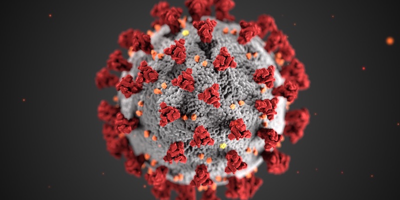 L'immagine del SARS-CoV-2 realizzata dai Centers for Disease Control and Prevention (CDC) degli Stati Uniti, scaricabile gratuitamente qui