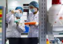 La Cina non vuole un'inchiesta indipendente sul coronavirus