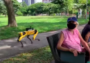 A Singapore c'è un cane-robot che ricorda di mantenere le distanze nei parchi