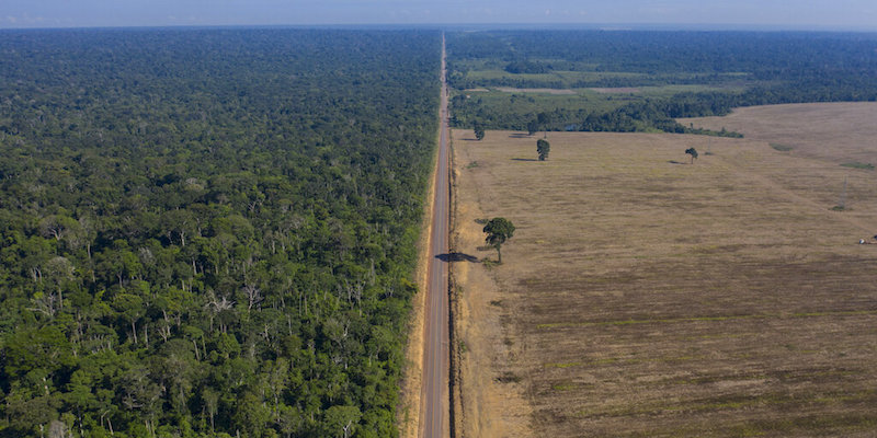 L'autostrada BR-163, che passa lungo la Foresta Nazionale di Tapajos, nello stato del Para, in Brasile, il 25 novembre 2019 (La Presse/AP Photo/Leo Correa)