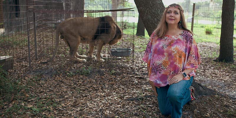 Un tribunale americano ha deciso che il terreno dello zoo di Joe Exotic, protagonista di "Tiger King", appartiene ora alla sua rivale Carole Baskin