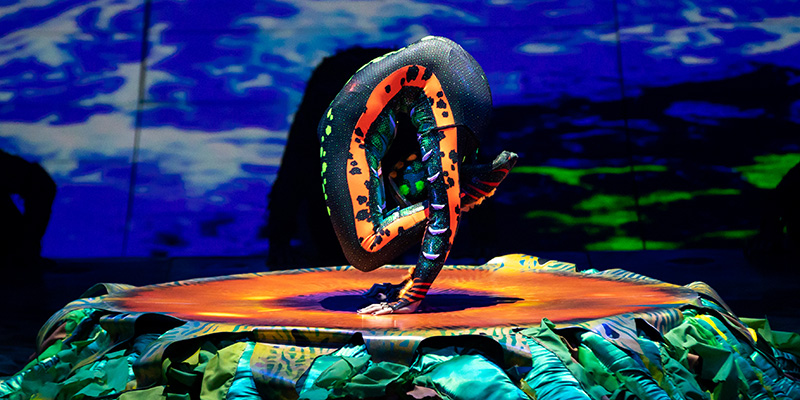 Il Cirque du Soleil ha chiesto l'amministrazione straordinaria