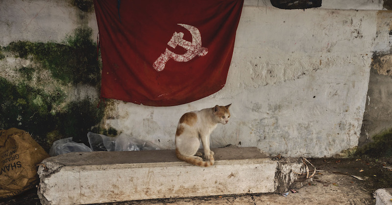 Un gatto sotto una bandiera con falce e martello nel ritrovo di alcuni lavoratori affiliati a un sindacato di sinistra, Cochin, India
(AP Photo/R S Iyer)