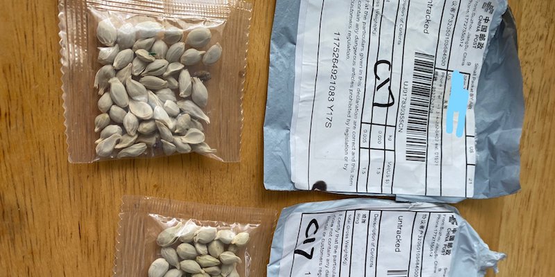 Pacchetti di semi ricevuti da persone che non li avevano ordinati (Washington State Department of Agriculture)
