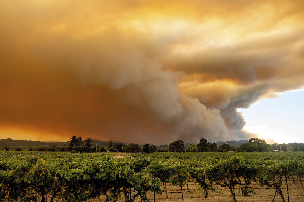 Una colonna di fumo sopra Healdsburg, California. (AP Photo/Noah Berger)