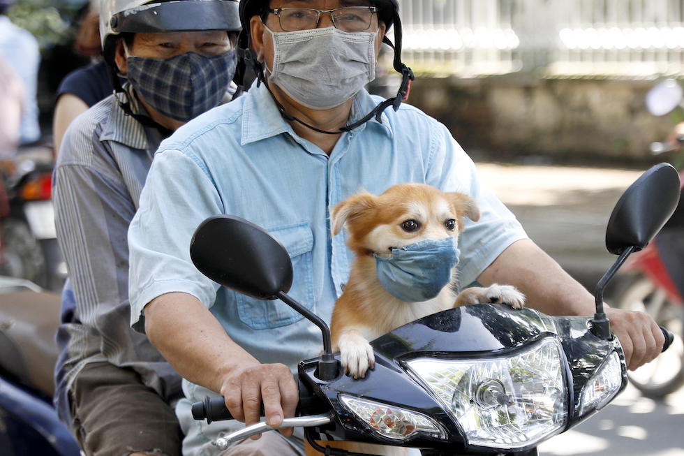 Hanoi, Vietnam, 11 agosto 2020 (EPA/LUONG THAI LINH / ANSA)