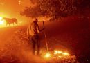 Non ci sono abbastanza pompieri per spegnere gli incendi in California