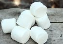 I marshmallow vengono da una pianta