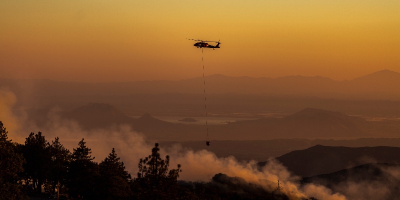 (David McNew/Getty Images)