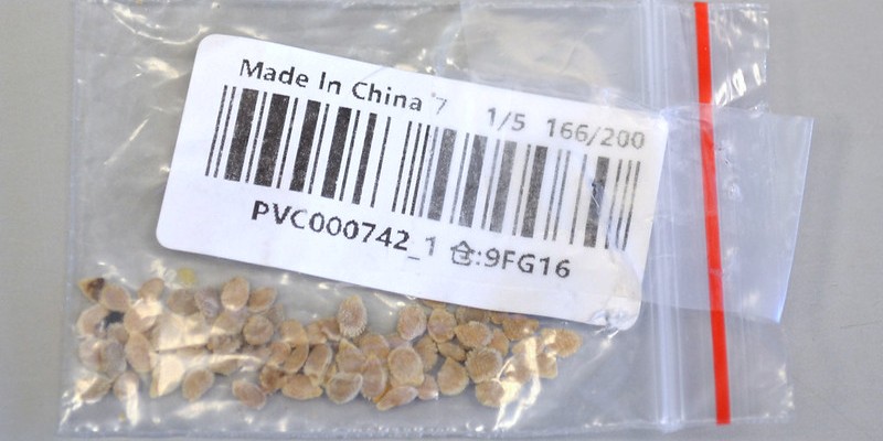 Un pacchetti di semi di pomodoro proveniente dalla Cina (Washington State Department of Agriculture)
