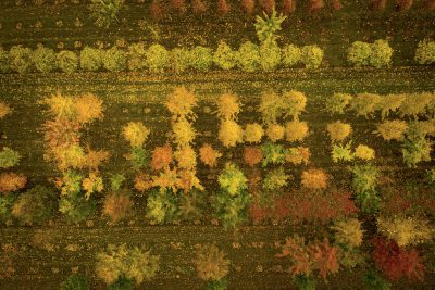 Knutsford, Regno Unito