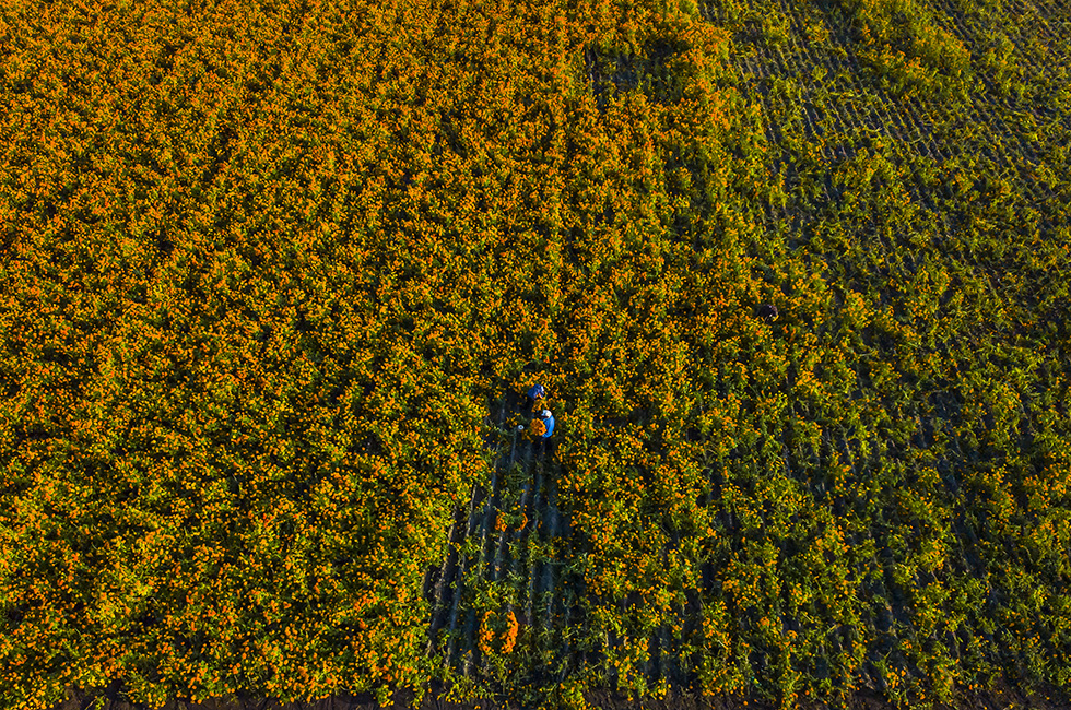 Mercoledì 28 ottobre