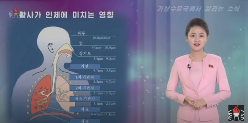Screenshot del servizio televisivo trasmesso sulla televisione di stato nordcoreana KCTV per avvisare i cittadini dell'arrivo della nube di polvere gialla.