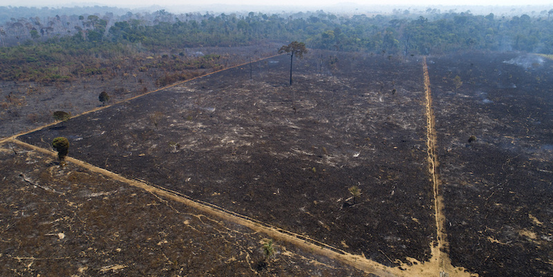 In Brasile va sempre peggio con gli incendi in Amazzonia