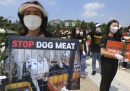 Si mangia meno carne di cane, in Corea del Sud