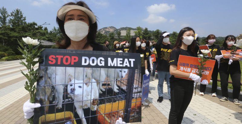 Attiviste e attivisti durante una manifestazione contro il consumo di carne di cane a Seul, in Corea del Sud, lo scorso 16 luglio 2020. (AP Photo/ Ahn Young-joon)
