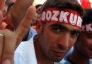Il gruppo ultranazionalista turco dei 