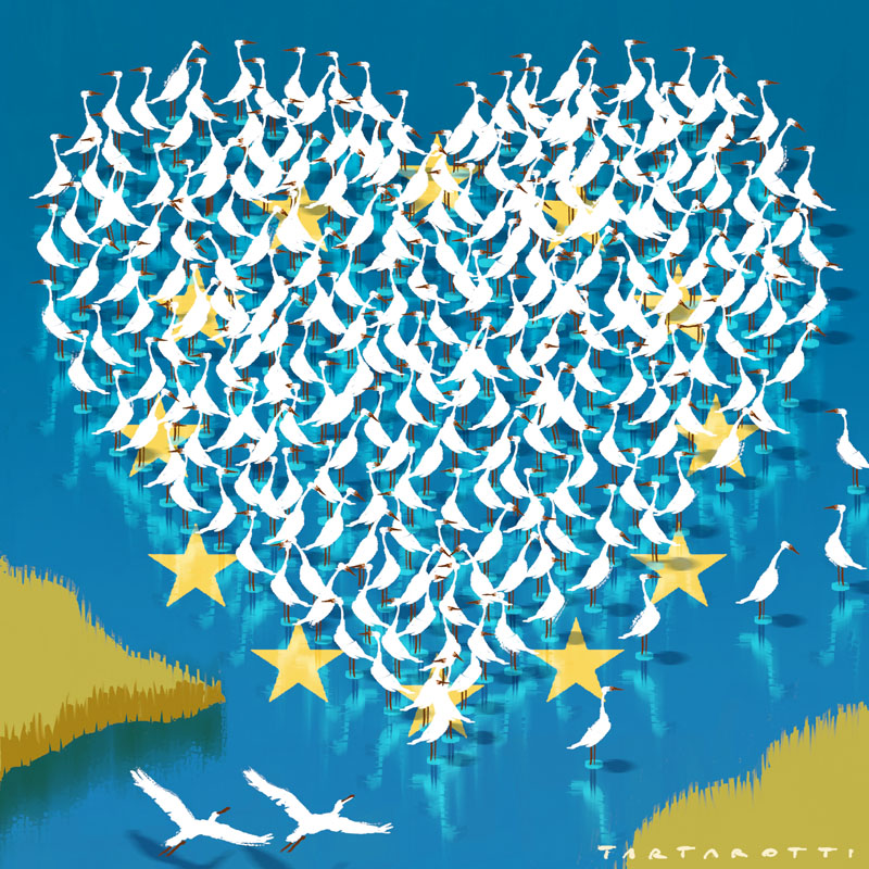 Una bella notizia per gli aironi