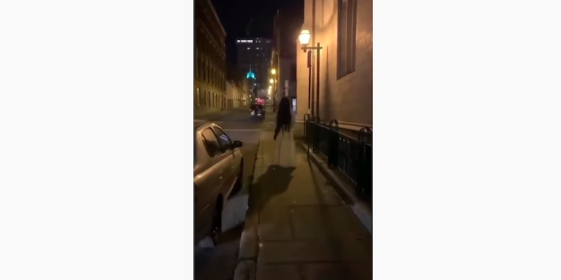 La polizia di Quebec City ha arrestato un ventenne in relazione all’uccisione di due persone nella notte di Halloween