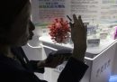 La Cina ha autorizzato il suo primo vaccino