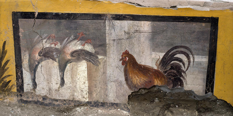 A Parco Archeologico picture made available 26 December 2020 shows adetail of the almost intact environment of a Thermopolium in Pompeii, Italy.Two ducks hanging by the feet, a rooster, a dog on a leash, which look like they are painted in 3D. The almost intact environment of a Thermopolium, a street food shop, with dishes of all kinds, from snails to a sort of "paella", returns to light in Pompeii. A discovery, anticipates the director Osanna to ANSA, who "returns an incredible photograph of the day of the eruption", and opens up new studies on the life, uses and nutrition of the Pompeians, "It will be an Easter gift for visitors", announces.
ANSA/PARCO ARCHEOLOGICO DI POMPEI EDITORIAL USE ONLY NO SALES