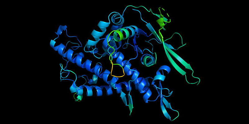 Previsione della struttura di una proteina effettuata da AlphaFold (DeepMind)