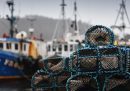 Brexit sta mettendo in crisi i pescatori scozzesi