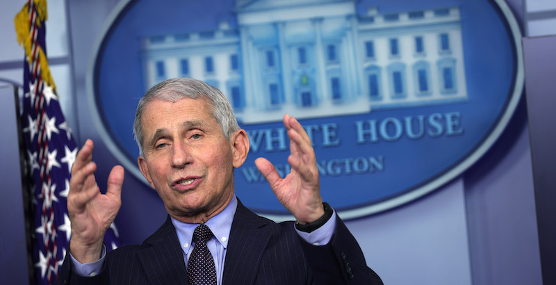 Anthony Fauci (Alex Wong/Getty Images)