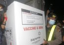 Il vaccino contro il coronavirus è halal?