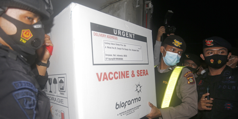 Una scatola di dosi di vaccino contro il coronavirus arrivata a Bali, in Indonesia, il 5 gennaio (AP Photo/Firdia Lisnawati)