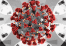 Il futuro del coronavirus