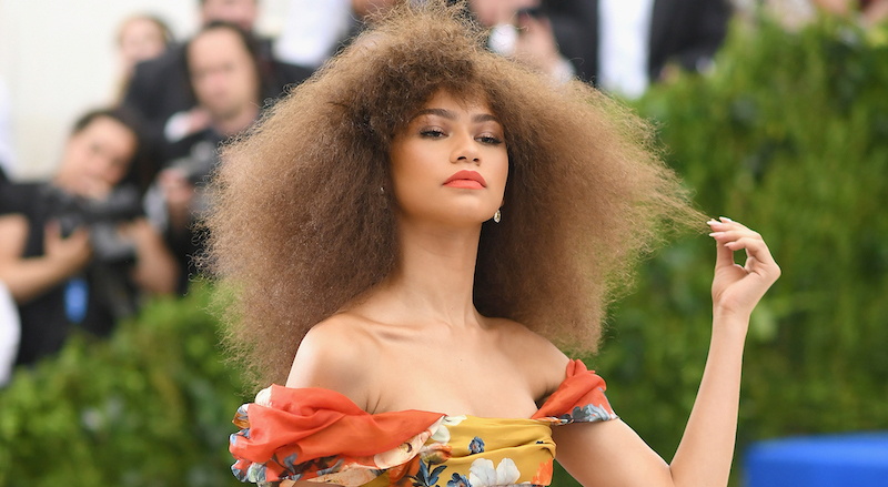 Zendaya al Met Gala del 2017, New York
(Dimitrios Kambouris/Getty Images)