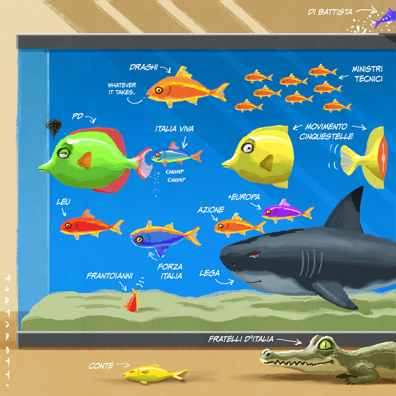 Il governo Draghi spiegato con gli acquari