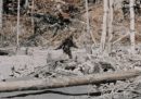 Bigfoot e altri abominevoli