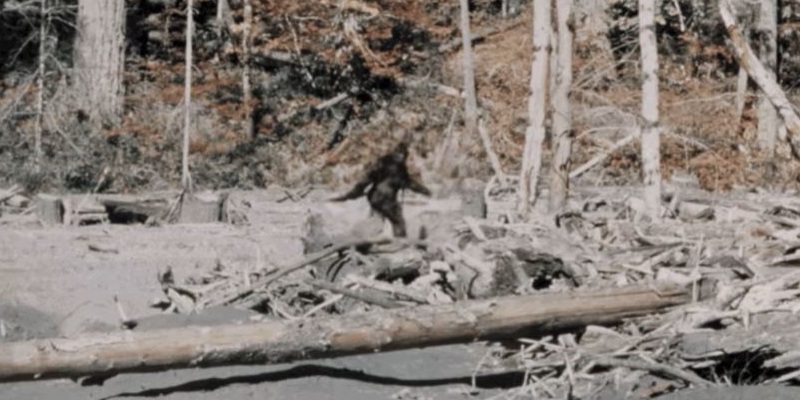 bigfoot patterson gimlin