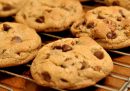 L'invenzione dei biscotti con le gocce di cioccolato