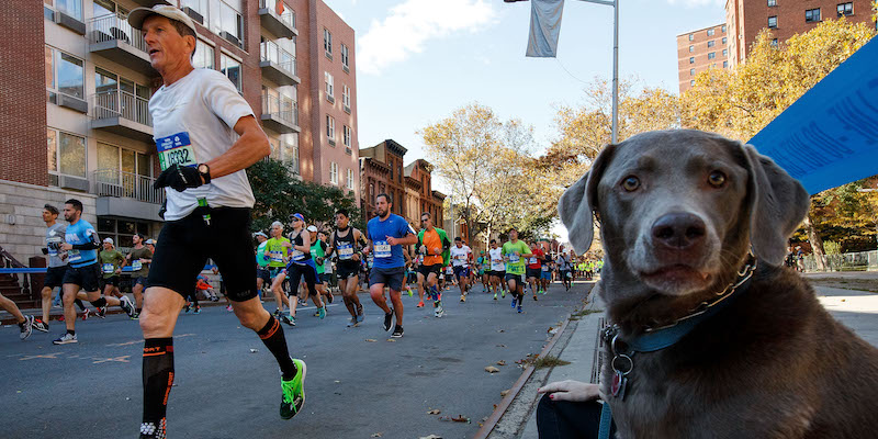 maratona new york 2016