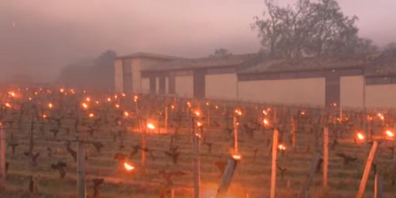 Un viticoltore dell'Aquitania ha acceso piccoli fuochi nel suo vigneto per cercare di riscaldare i terreni (fermo immagine di un servizio del telegiornale di France 3, YouTube)