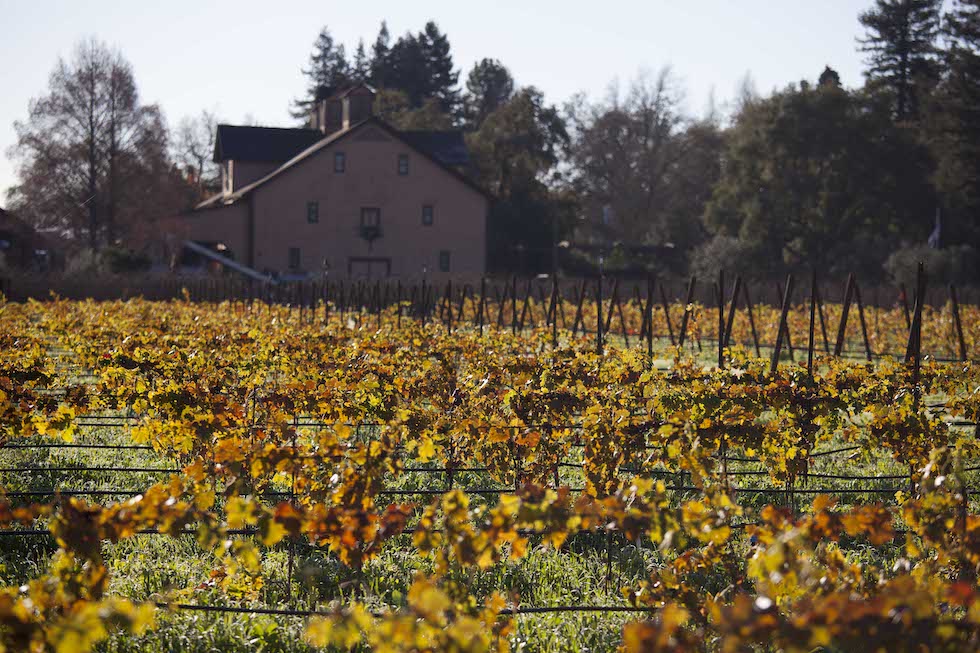 Cabernet Sauvignon california