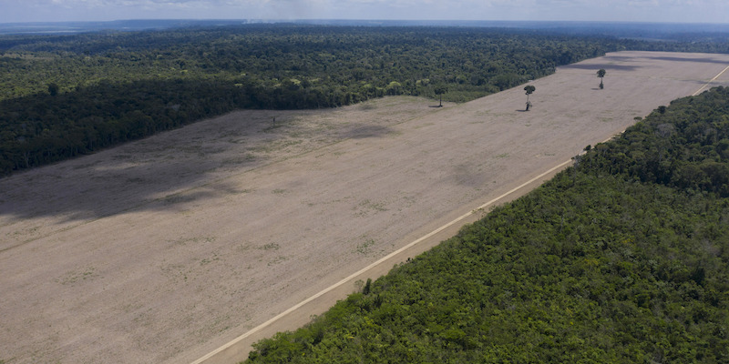 Un campo di soia in mezzo alla foresta amazzonica, vicino ad Acaizal, in Brasile, il 24 novembre 2019 (AP Photo/Leo Correa, La Presse)