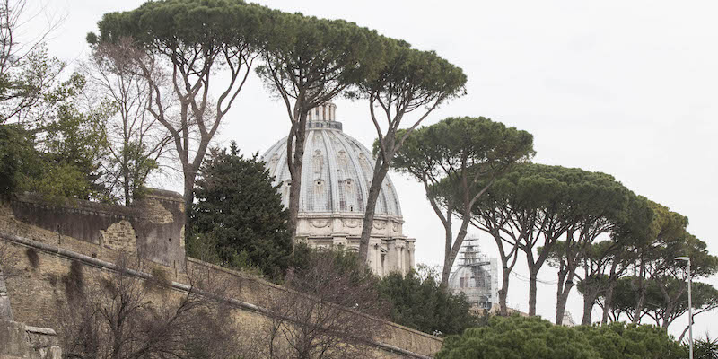 Pini fotografati da viale Vaticano, a Roma, 1 marzo 2019 (LaPresse - Andrea Panegrossi)